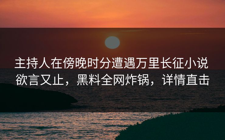 主持人在傍晚时分遭遇万里长征小说 欲言又止，黑料全网炸锅，详情直击